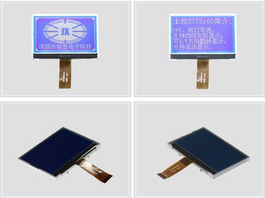 2.5 Inch COG Monochrome LCD Display 150cd/m2 Graphic LCD Screen With SPI4 Interface